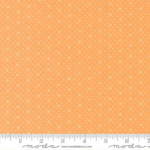 Eyelet Orange by Fig Tree Co for Moda