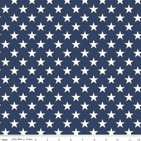 Freedom Garden Stars Blue by My Mind's Eye for Riley Blake Designs