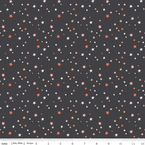 Hey Pumpkin Stars Charcoal by My Minds Eye for Riley Blake Design