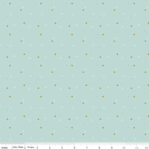 Sparkler Songbird Sparkle by Melissa Mortenson for Riley Blake Designs