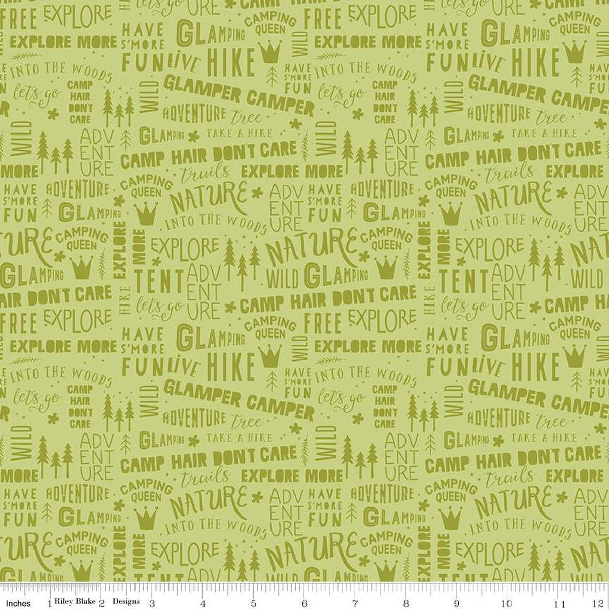 Glamp Camp Phrases Green by My Mind's Eye for Riley Blake Designs