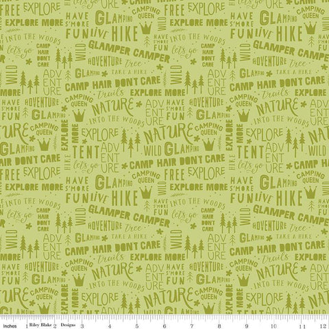 Glamp Camp Phrases Green by My Mind's Eye for Riley Blake Designs